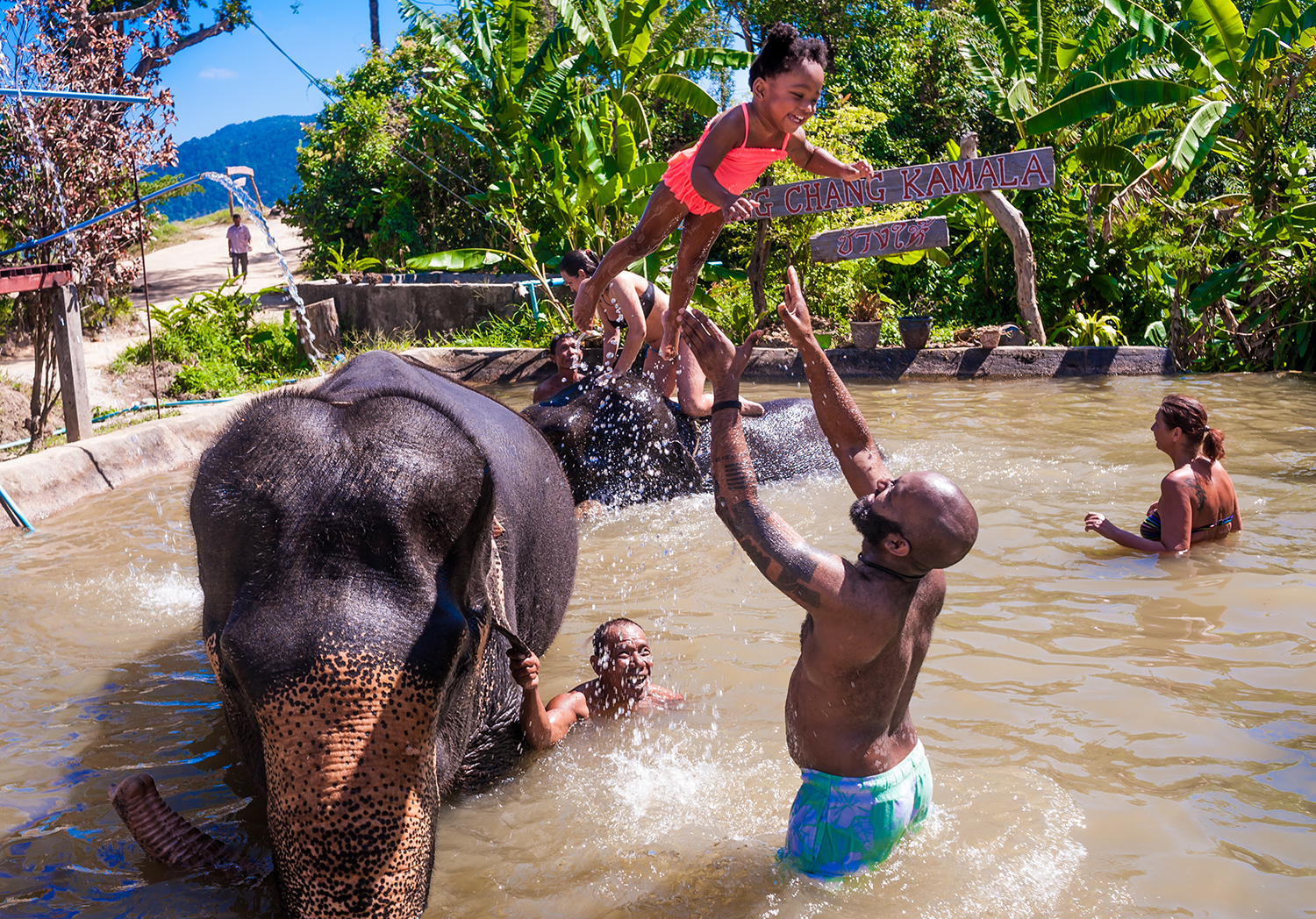 elephants-in-thailand