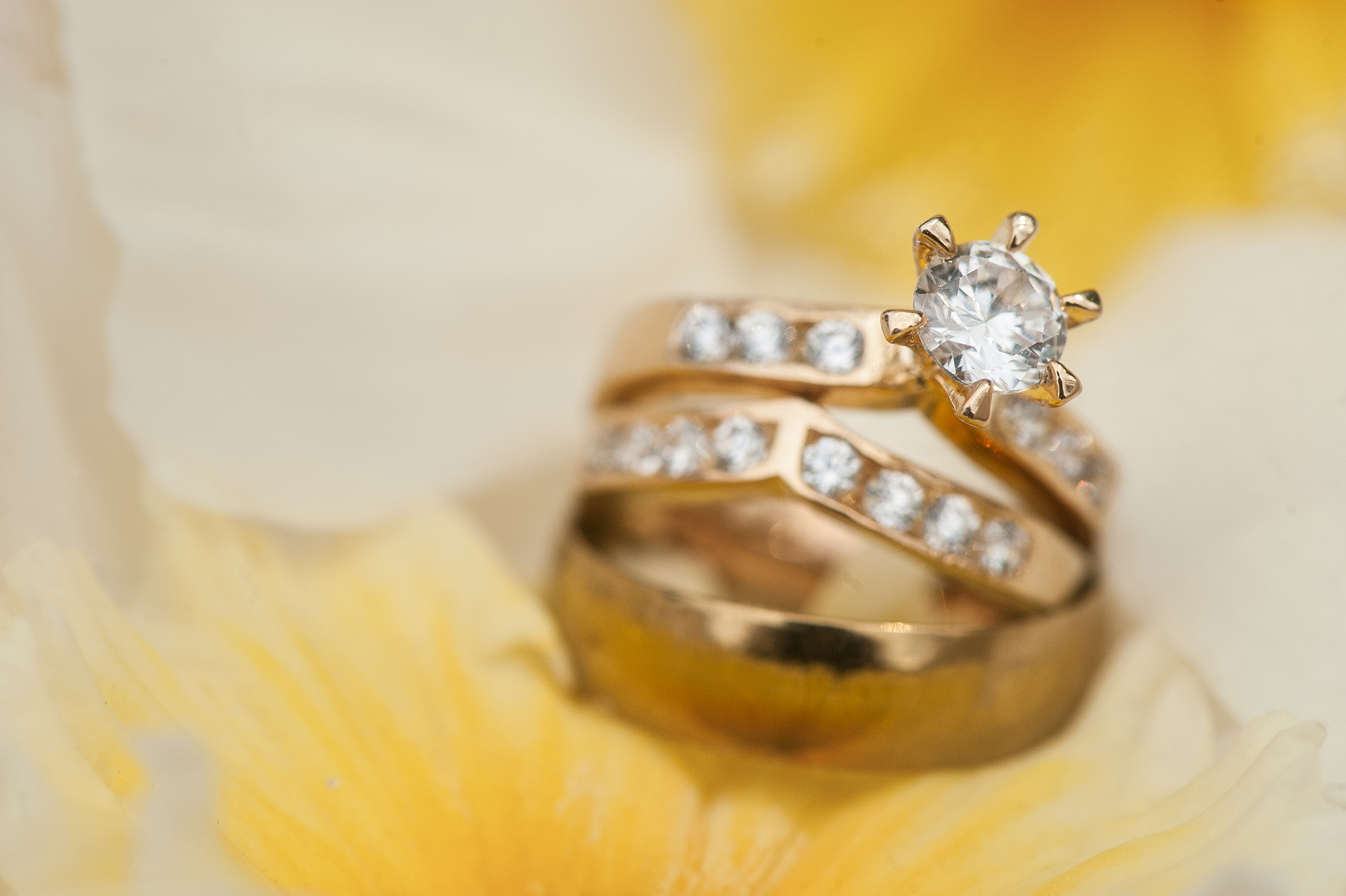 Crafting Amazing Wedding Ring Pictures